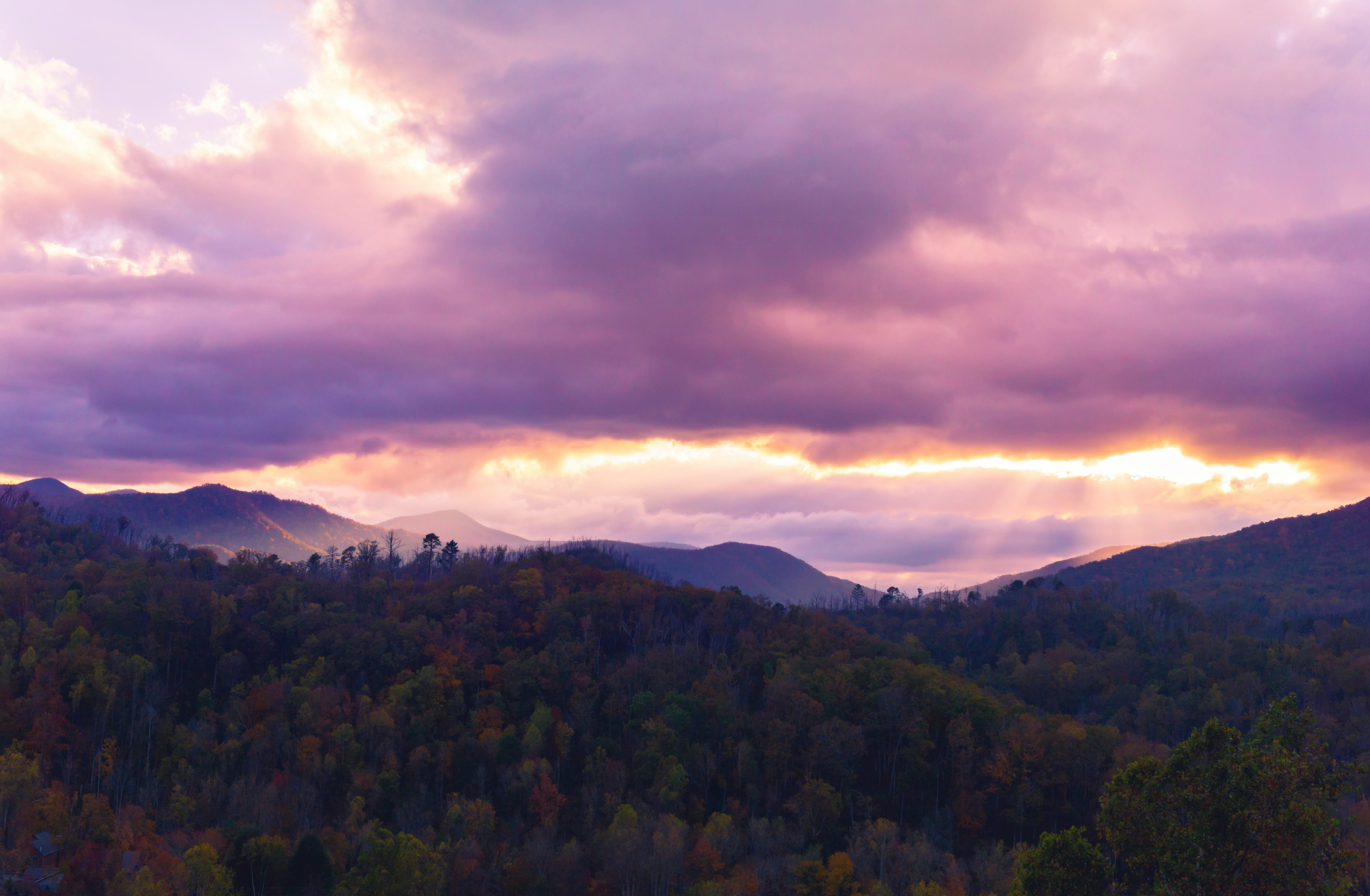 green trees on mountain under cloudy sky during daytime